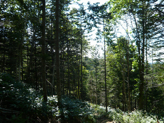 07.jpg