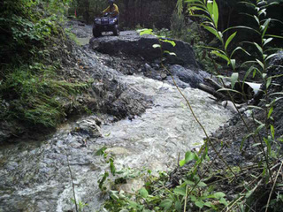 a01.jpg