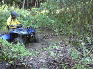 a08.jpg